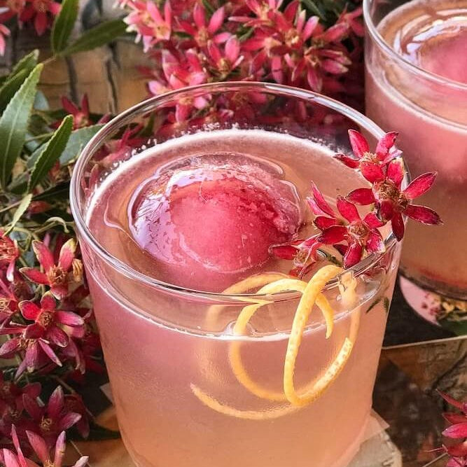 High Tea Hemingway
