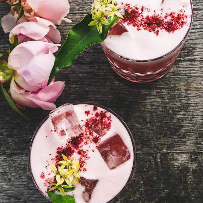 Rainforest Sour