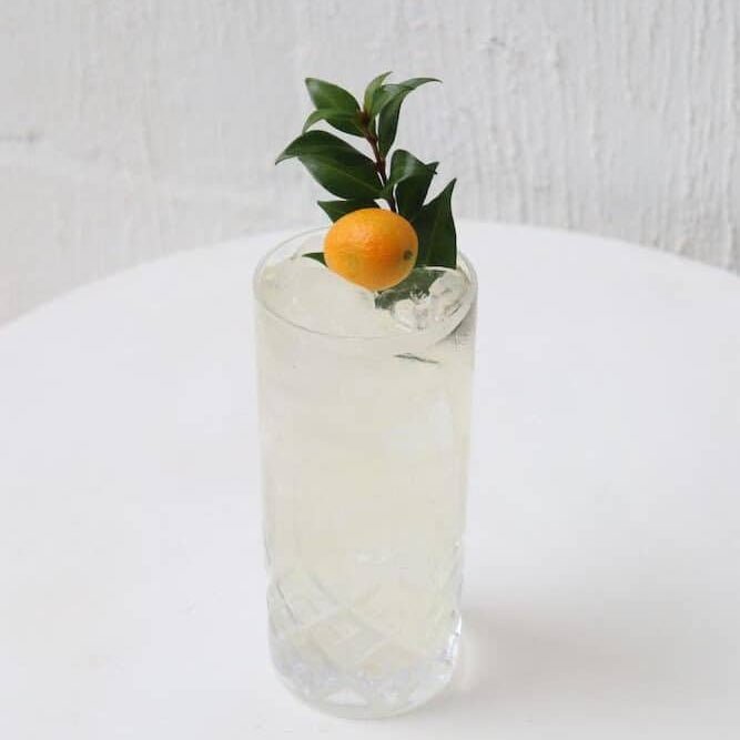 Shirl & Tonic