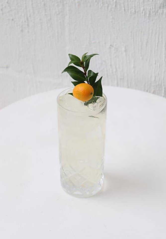 Shirl & Tonic