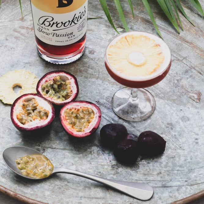 The Sugar Glider w/ Byron Bay Wildlife Hospital