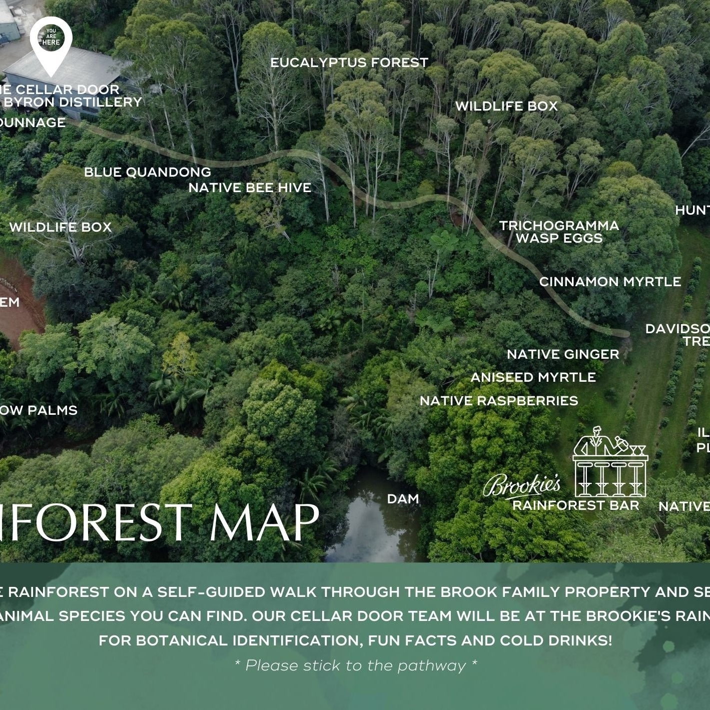 Celebrate World Rainforest Day at Cape Byron Distillery