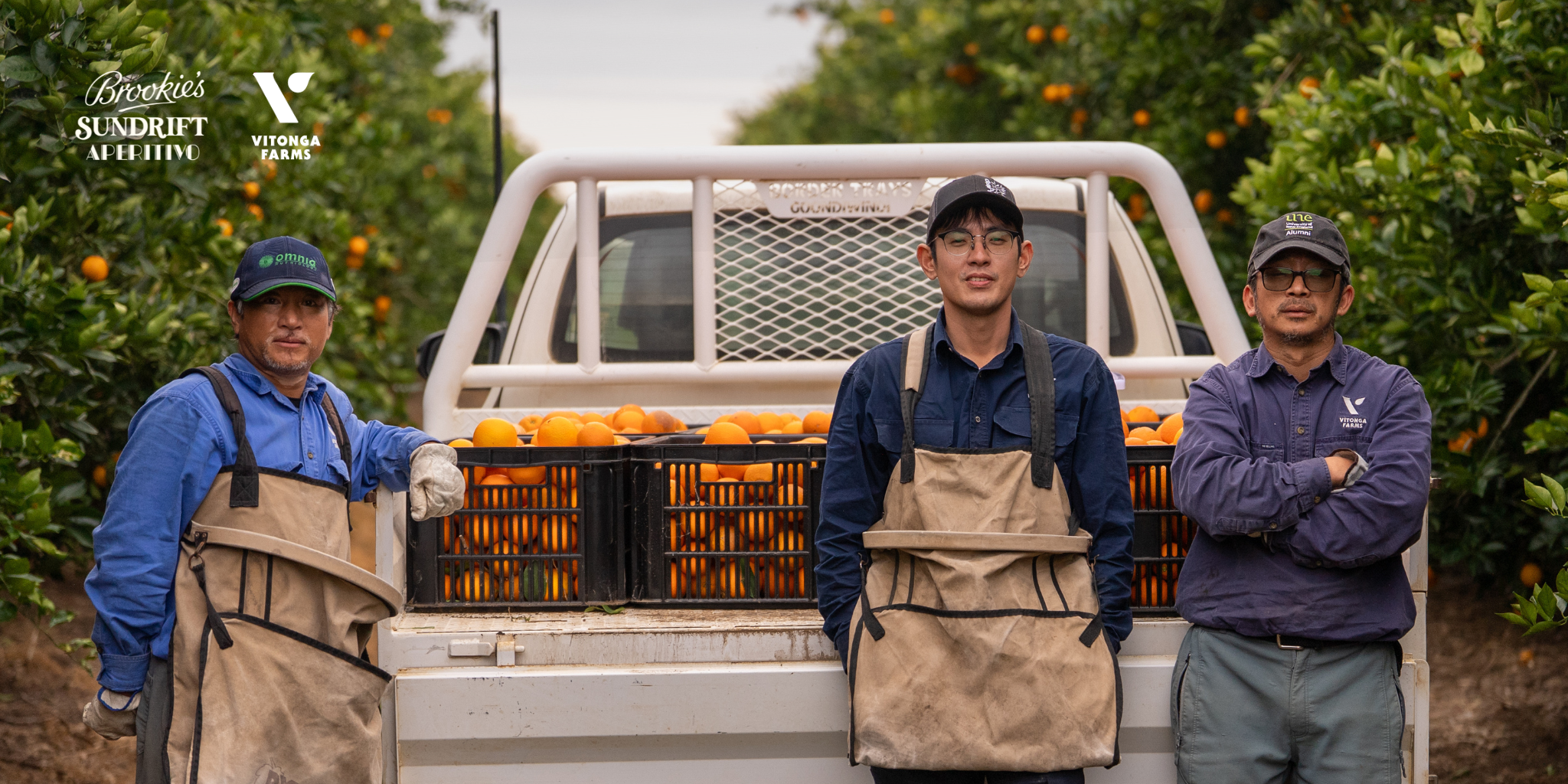 Sundrift Aperitivo and Vitonga Farm's | A Story of Australia's Best Oranges, Perfect Timing, and a Very Full Truck
