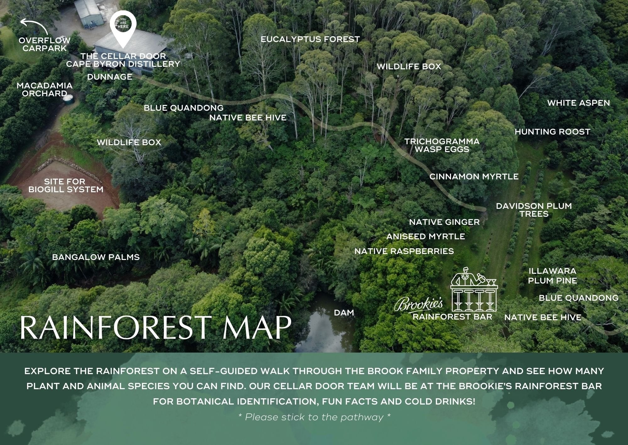 Celebrate World Rainforest Day at Cape Byron Distillery